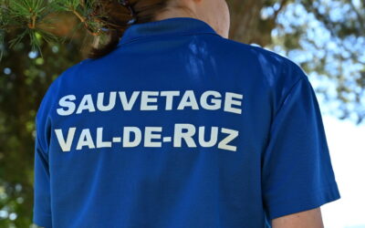 Recyclage des Cadres